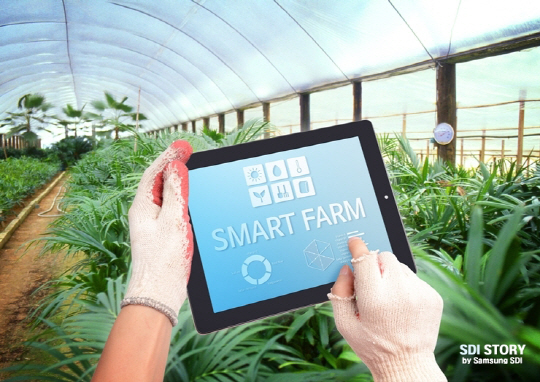 스마트팜 애플리케이션으로 비닐하우스를 관리하고 있는 모습.  삼성SDI 제공